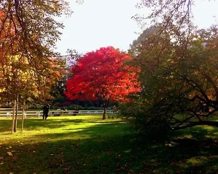 ホテル Jadran カルロヴィ・ヴァリ