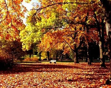 Jadran ホテル カルロヴィ・ヴァリ